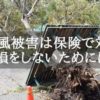台風の被害で倒れた大きな木の写真