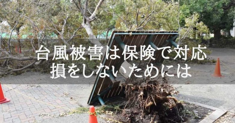 台風の被害で倒れた大きな木の写真